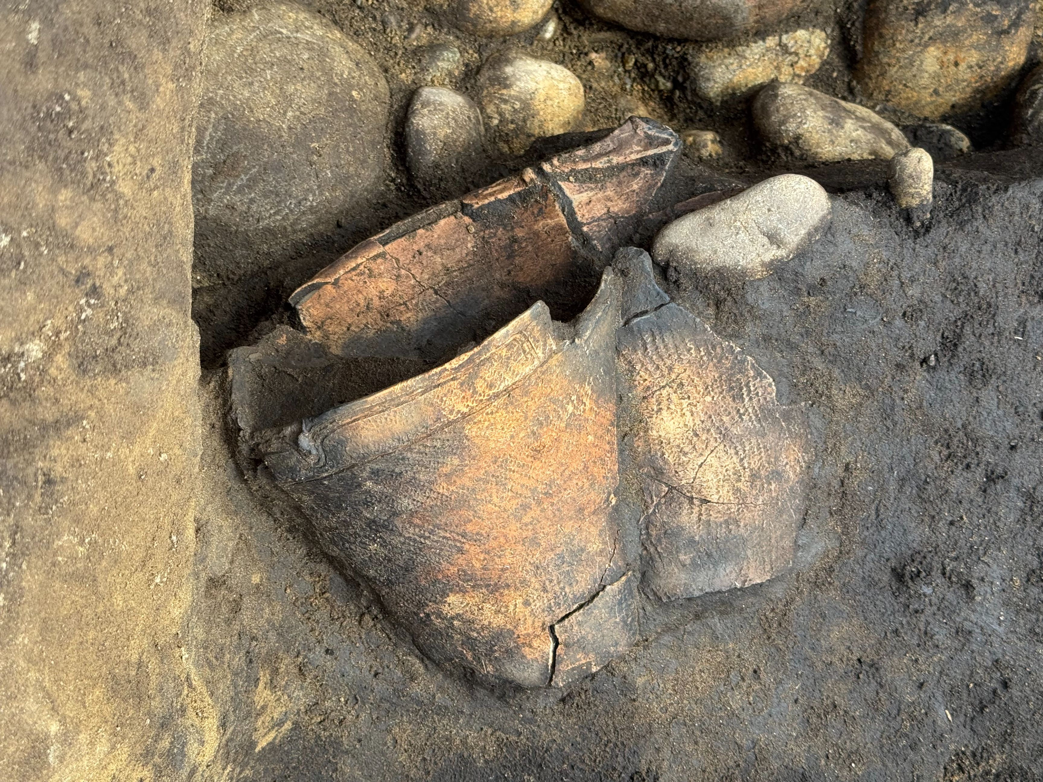 大明神遺跡発掘調査記録 chapter24≪土器の出方／2025年8月7日