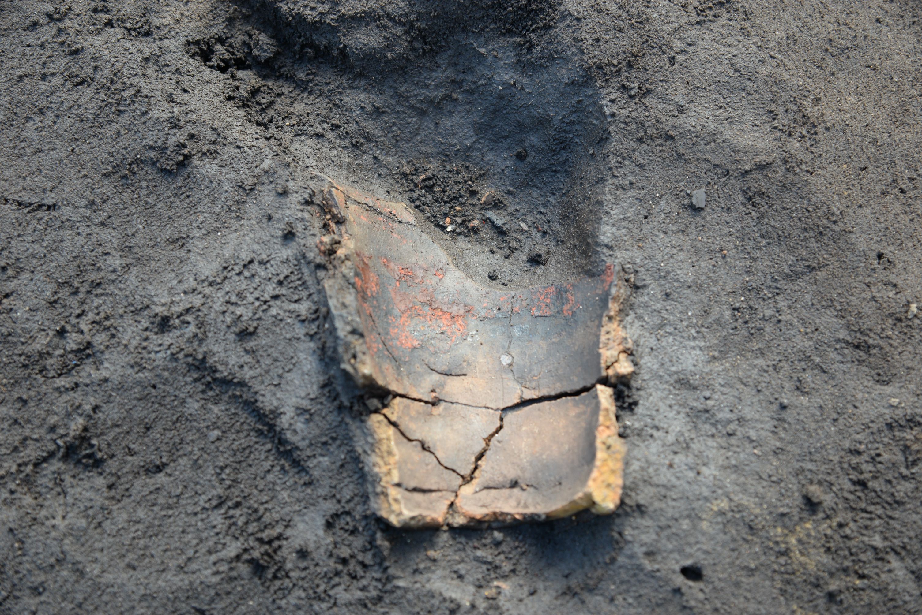 大明神遺跡発掘調査記録 chapter24≪土器の出方／2025年8月7日